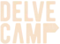 Лого Delve Camp